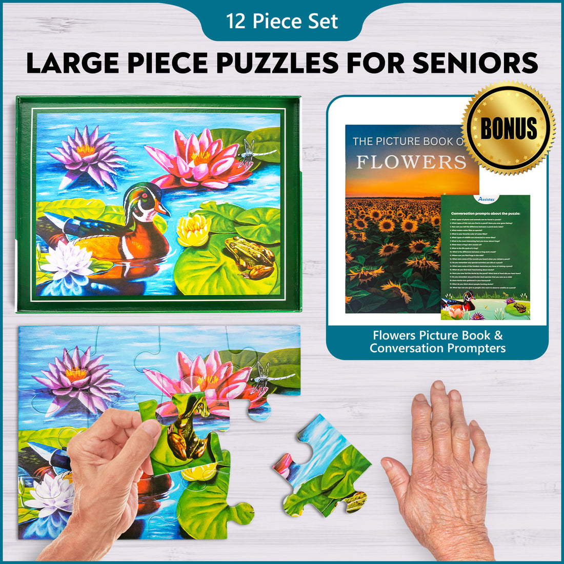 DEMENTIA PUZZLE 12 LARGE PIECES JIGSAW – Duck Pond