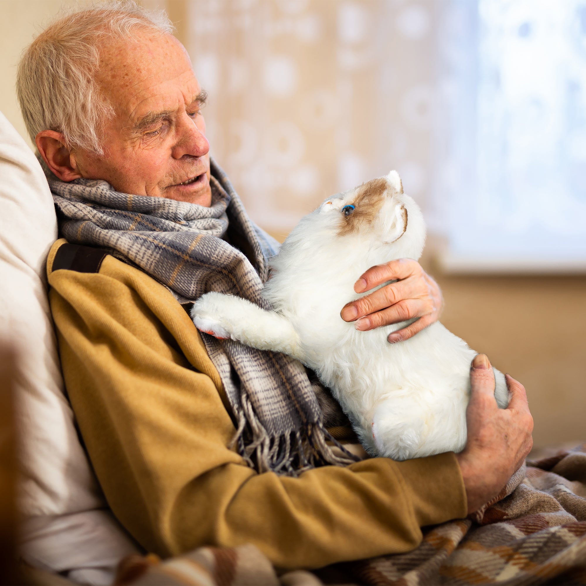 Assistex Therapy Cat Plush for Seniors with Dementia – Realistic Stuffed Animal Companion for Alzheimer’s, Memory Loss, Elderly Comfort – Soft, Calming, Lifelike Cat Toy