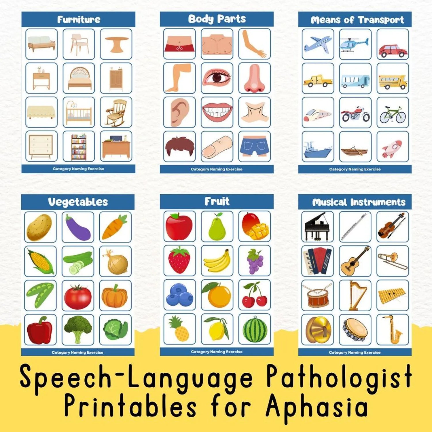 Aphasia Printable, Post- Stroke rehabilitation, Categorizing Worksheets, Head Injury, Speech Therapy Tool, SLP, Dementia, caregiver recourse