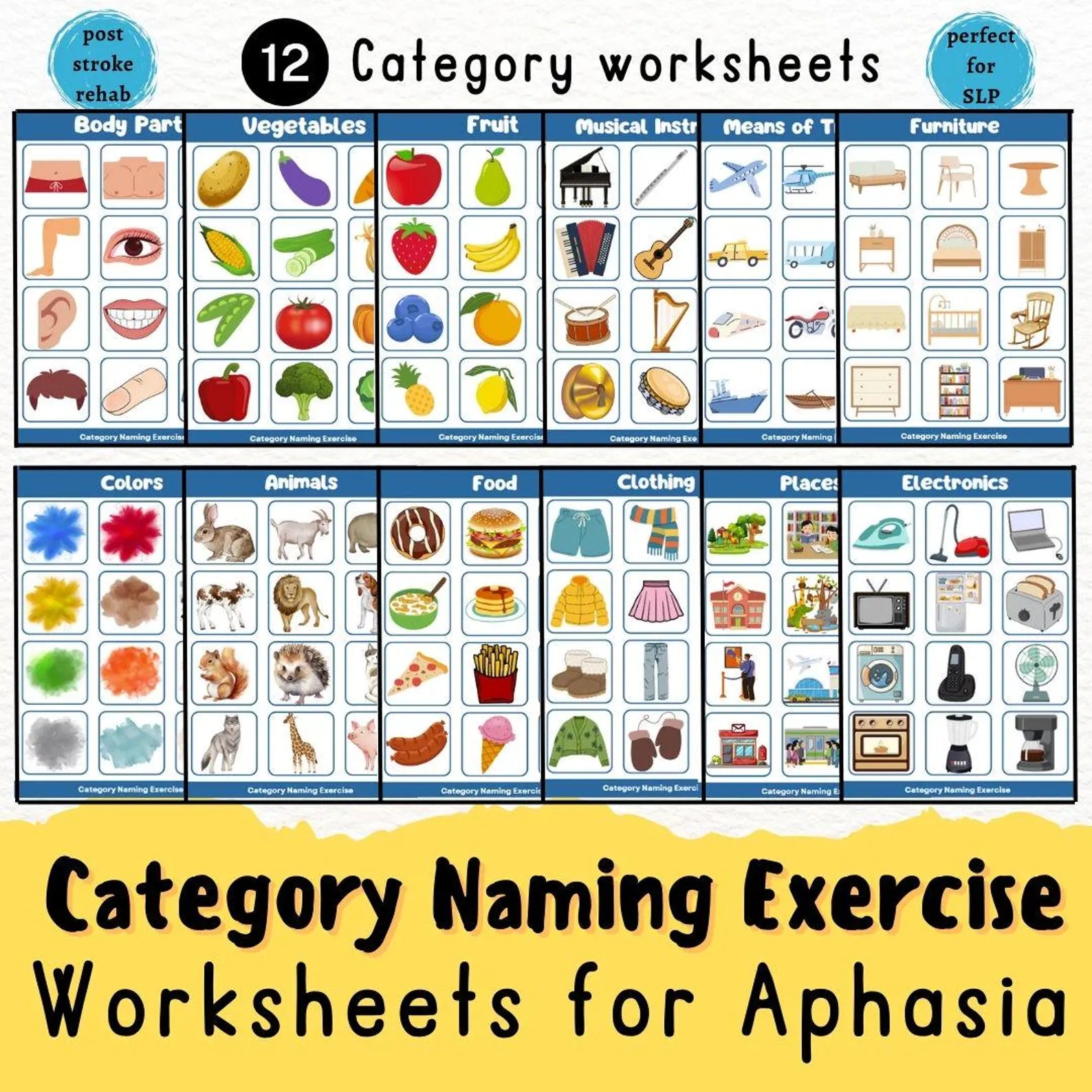 Aphasia Printable, Post- Stroke rehabilitation, Categorizing Worksheets, Head Injury, Speech Therapy Tool, SLP, Dementia, caregiver recourse