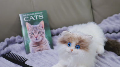 Assistex Therapy Cat Plush for Seniors with Dementia – Realistic Stuffed Animal Companion for Alzheimer’s, Memory Loss, Elderly Comfort – Soft, Calming, Lifelike Cat Toy